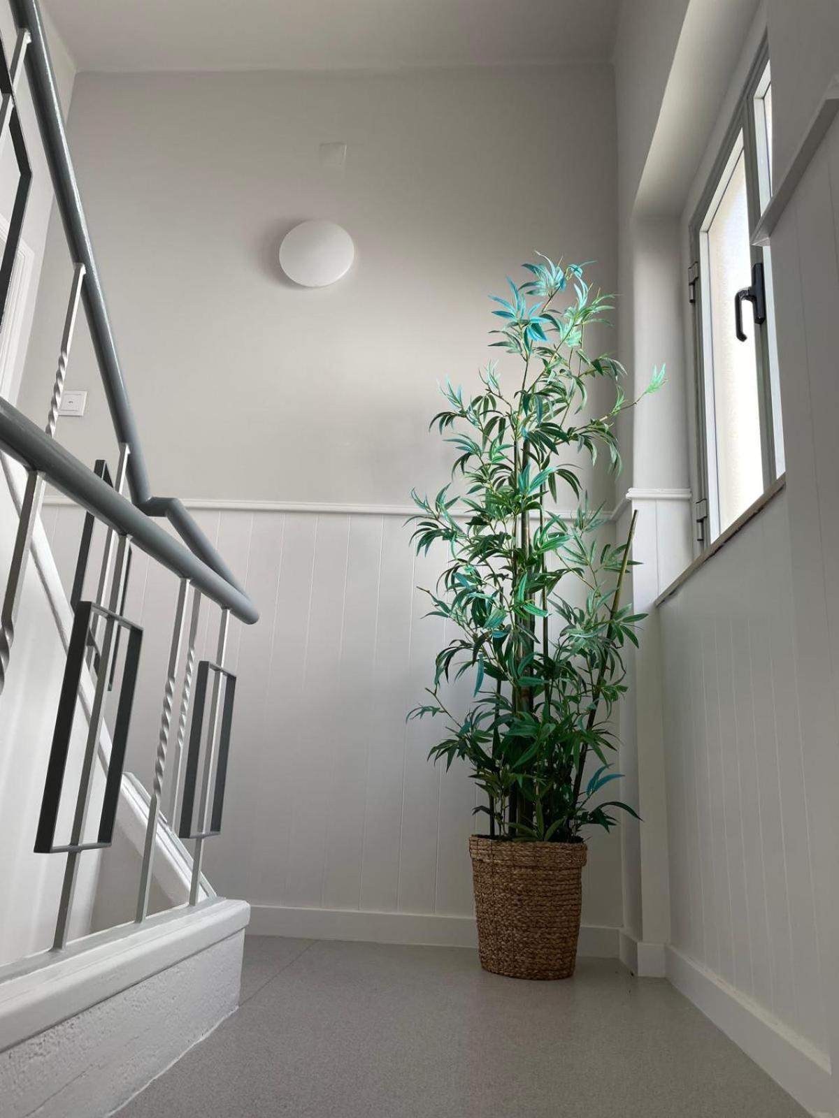 Lugar Dos Avos Apartment Nazaré Cameră foto